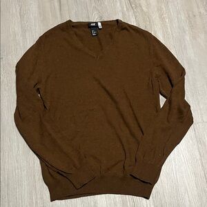 H&M Men's Chestnut V-Neck Sweater